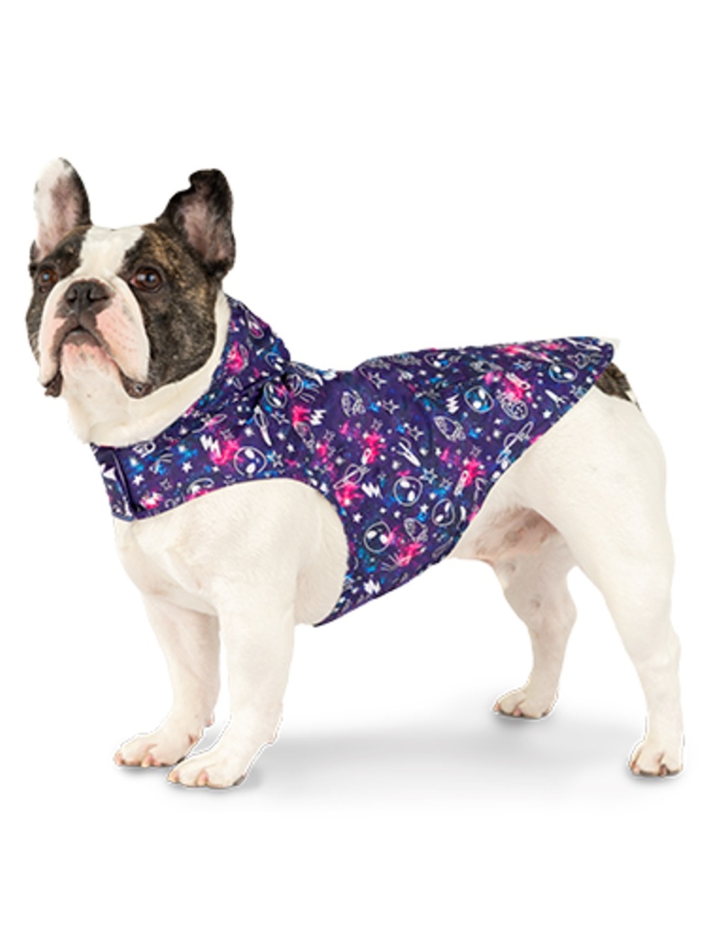 Canada Pooch Space Print Glow in the Dark Dog Jacket - Purple/Pink Stars
